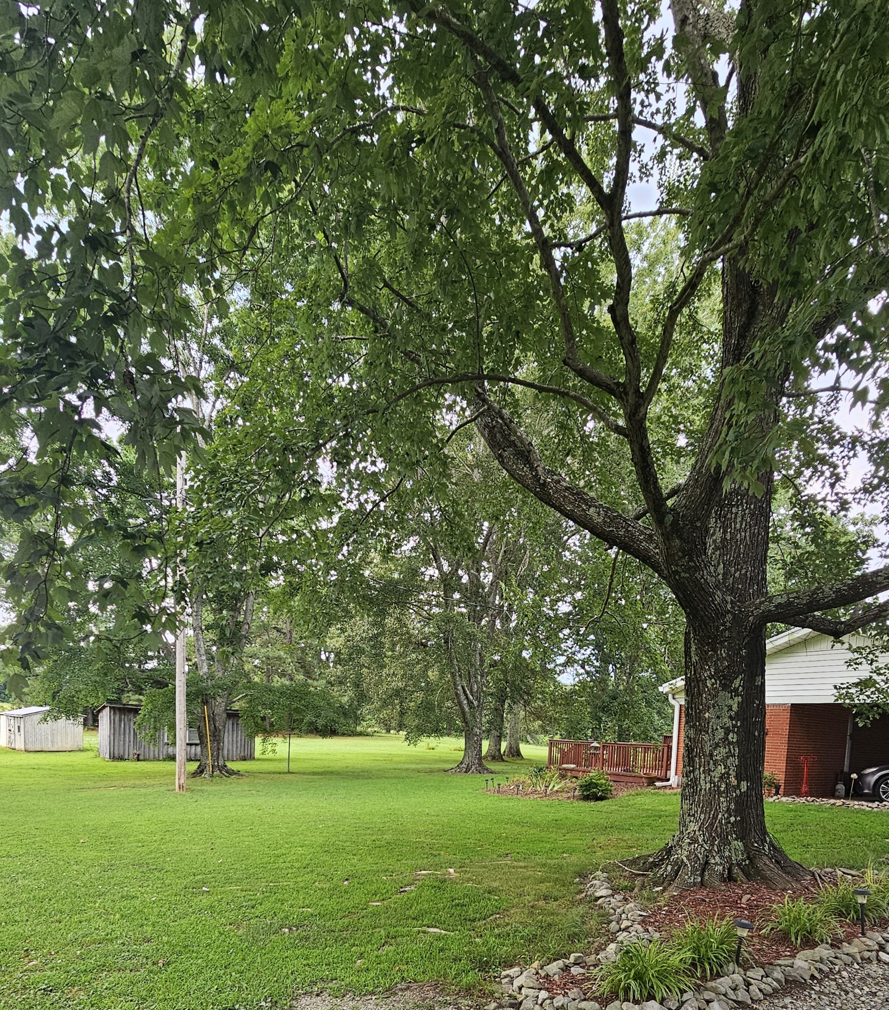 1797 Link Road New Johnsonville, TN 37134 - Photo 9 of 35