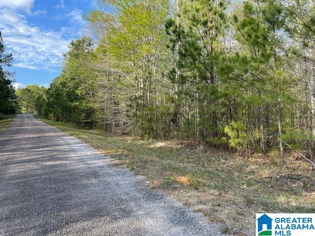 864 County Road Wadley, AL 36276 - Photo 1 of 7