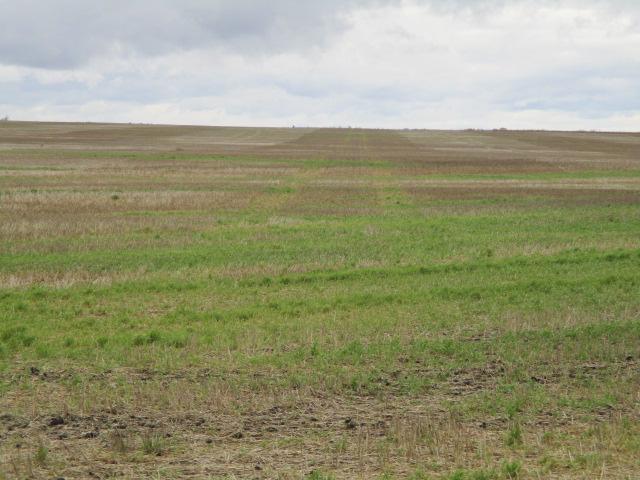 Tbd Tbd Tbd Sarles, ND 58372 - Photo 1 of 8 Gallery Image 1
