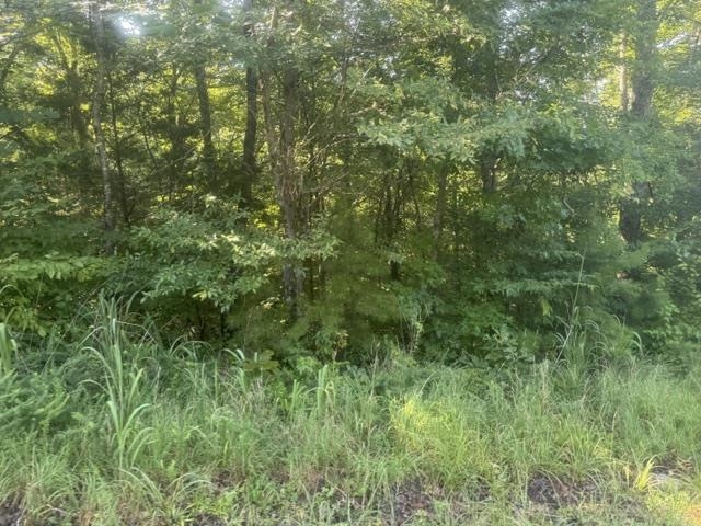3 Carroll Hollow Road Waynesboro, TN 38485 - Photo 13 of 25 Gallery Image 13