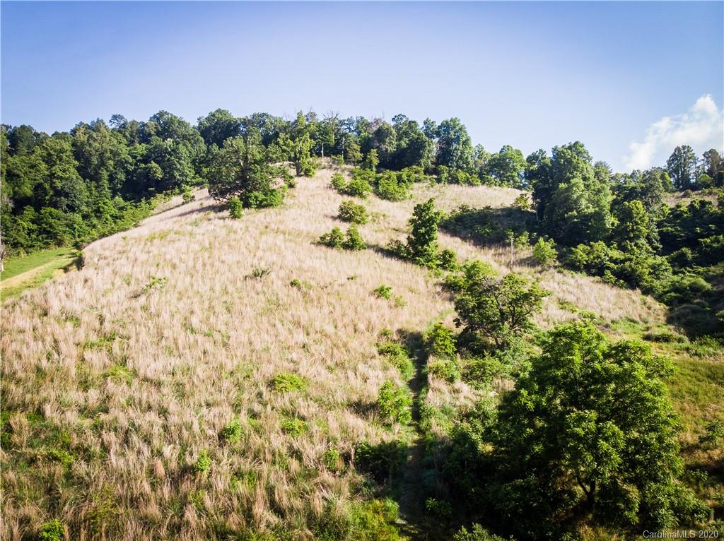 631 Morgan Branch Road Marshall, NC 28753 - Photo 2 of 28 Gallery Image 2