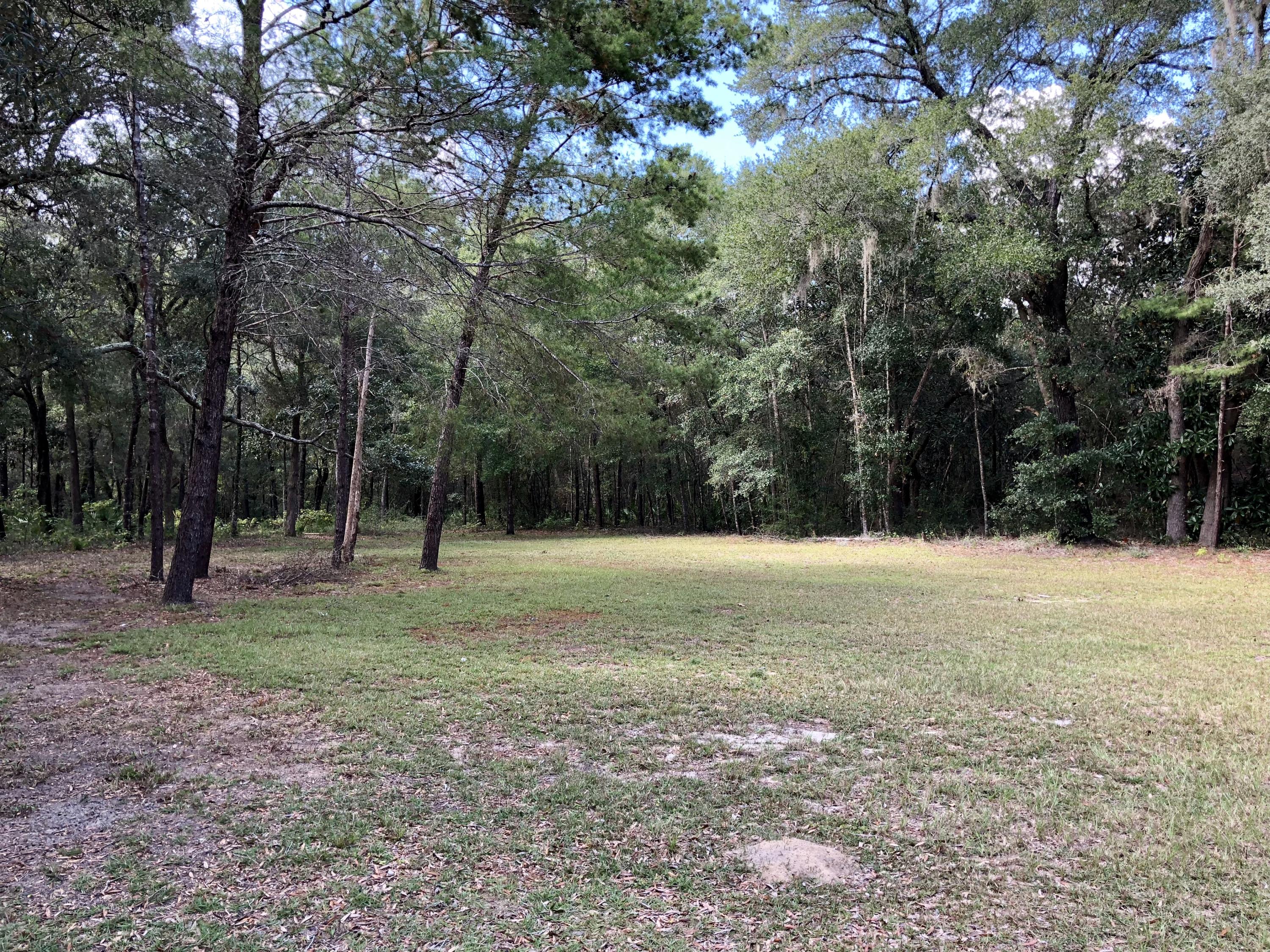 178 Whitfield Road Freeport, FL 32439 - Photo 21 of 29 Gallery Image 21