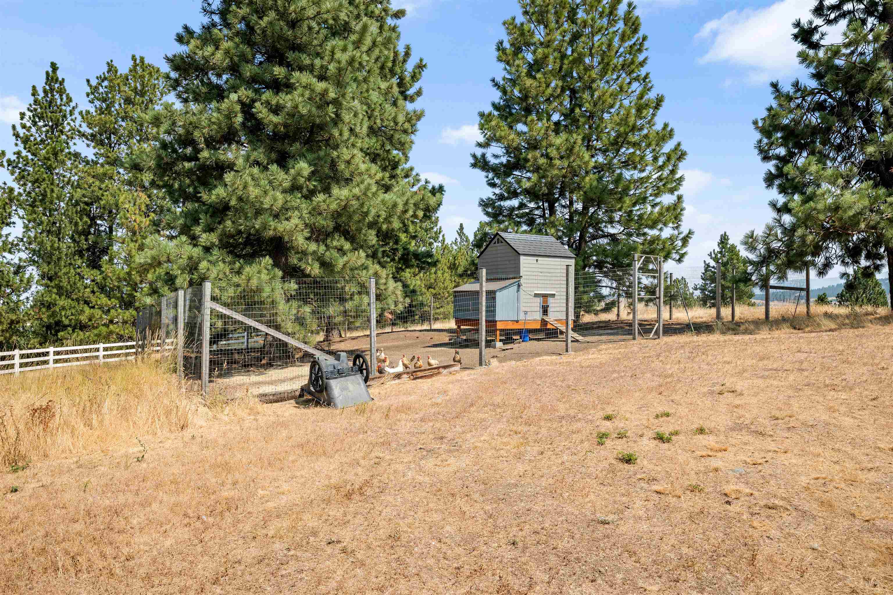 4216 South Owl Road Greenacres, WA 99016 - Photo 47 of 50 Gallery Image 47