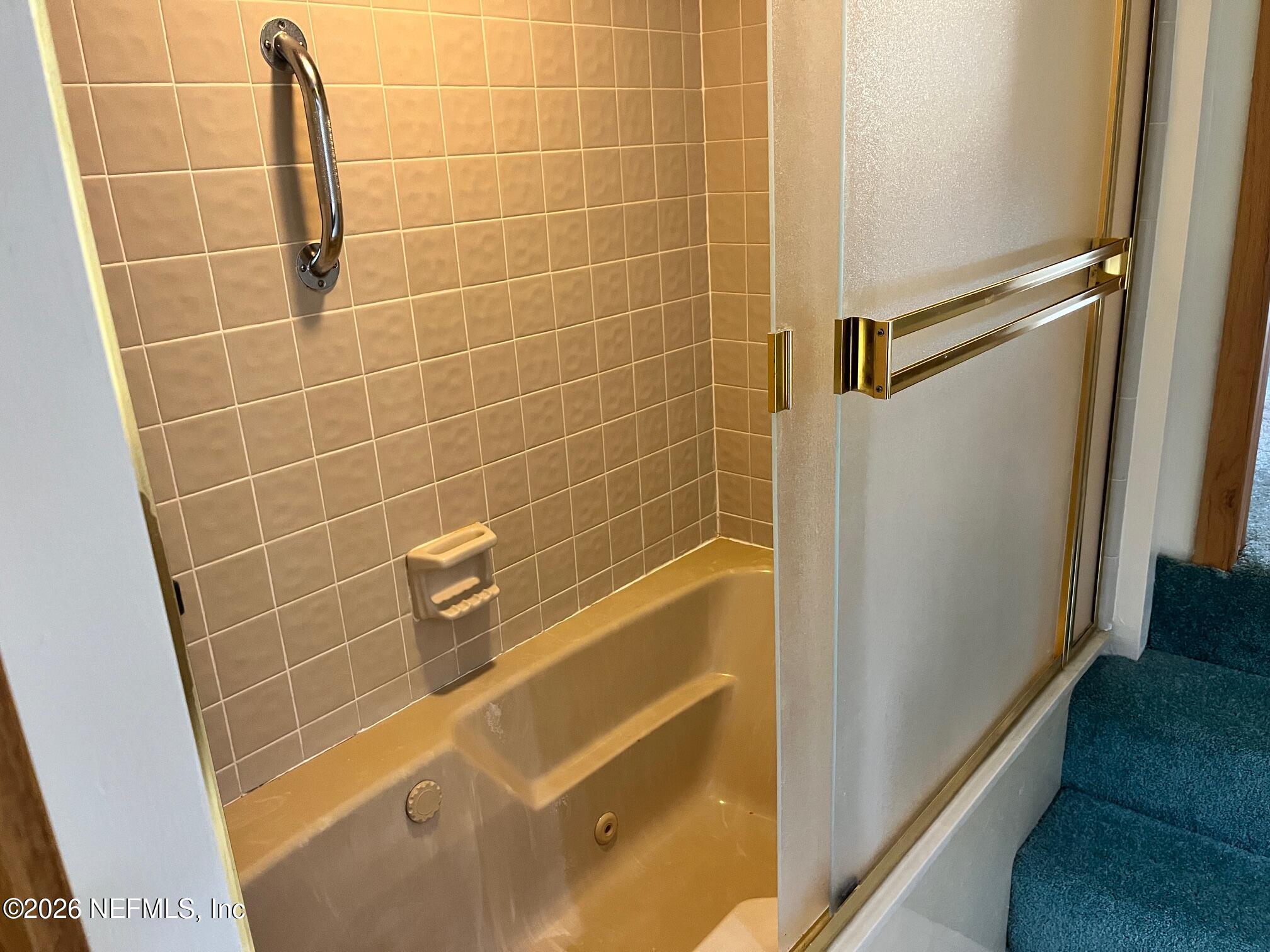 2930 Ravines Road, Unit 1208 Middleburg, FL 32068 - Photo 21 of 25 IMG_4187