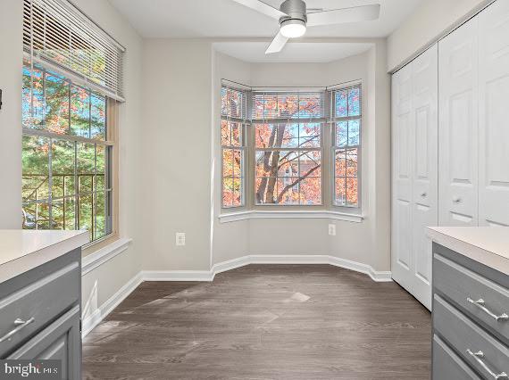 203 Star Pointe Court, Unit 2C Abingdon, MD 21009 - Photo 11 of 29 wooden floor in an empty room with a window