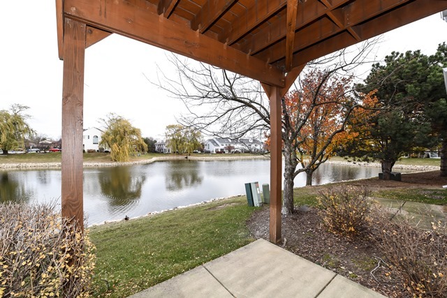 1048 Ripple Ridge Darien, IL 60561 - Photo 10 of 10