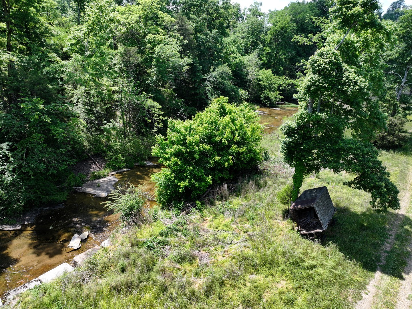 110 Wade Reed Road White Bluff, TN 37187 - Photo 46 of 80