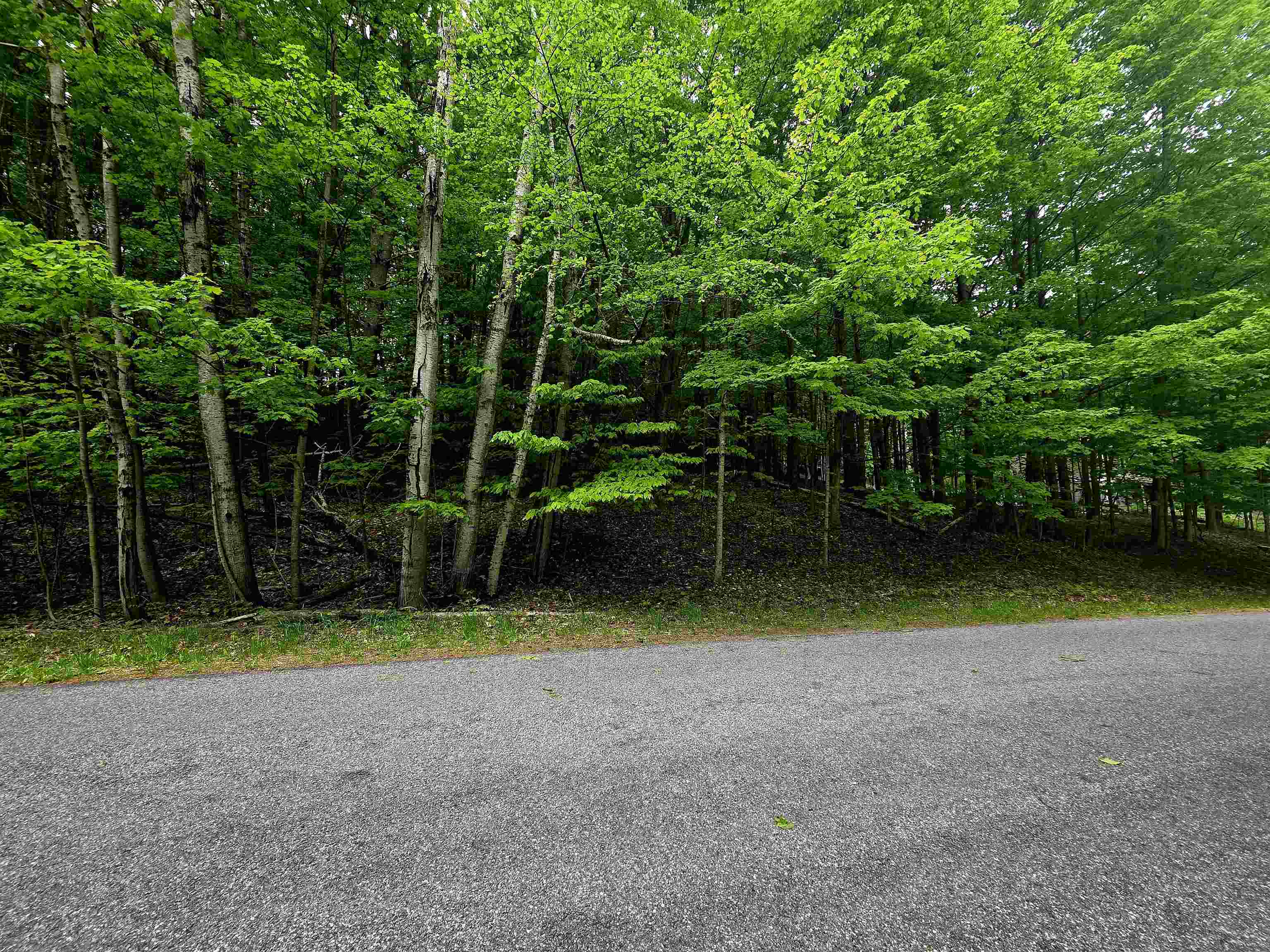 0 Sugarbush Road Kewadin, MI 49648 - Photo 14 of 19