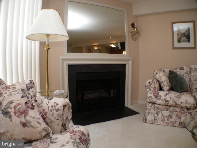 245 Sycamore Ridge Road Laurel, MD 20724 - Photo 14 of 19 Fireplace