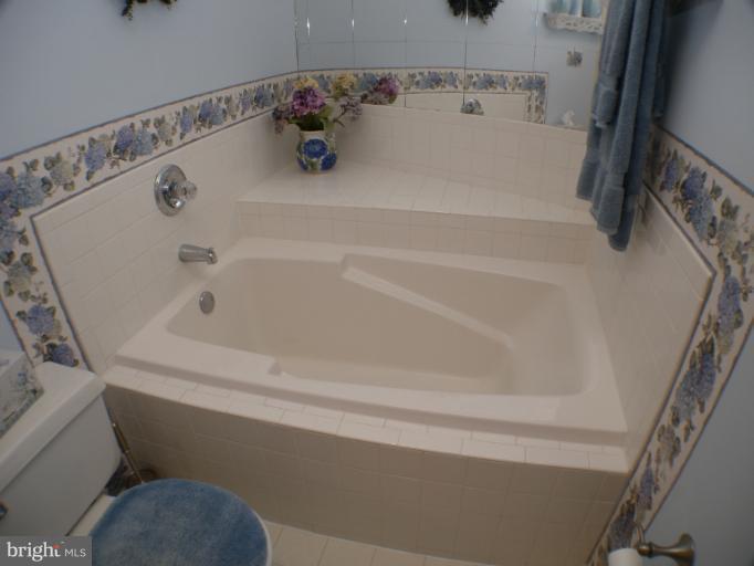 245 Sycamore Ridge Road Laurel, MD 20724 - Photo 10 of 19 Bath (Master)