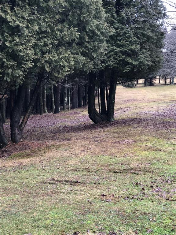 110 Wells Road Rossiter, PA 15772 - Photo 15 of 15