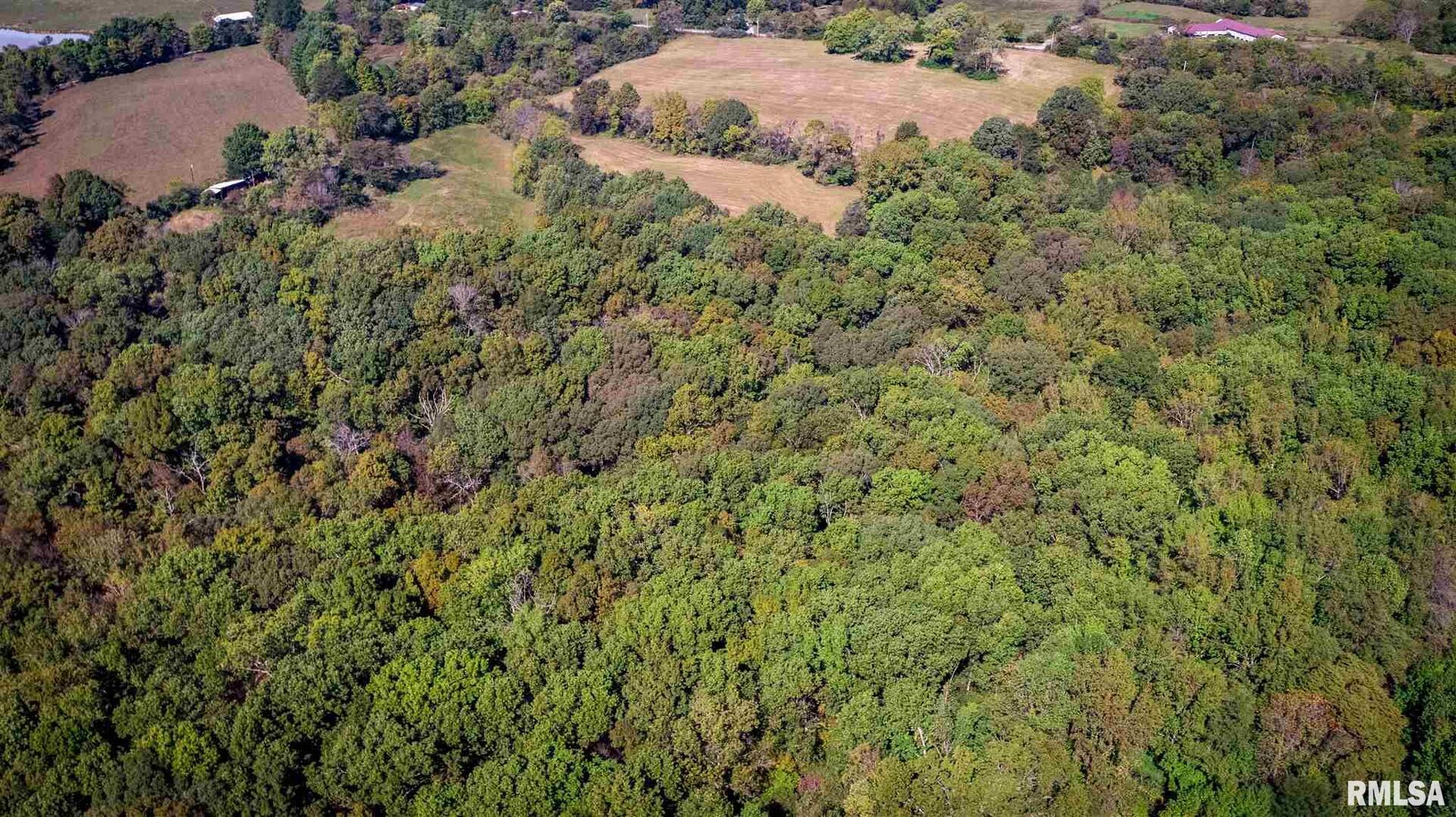 1450 Mt Hebron Road Makanda, IL 62958 - Photo 17 of 24 Gallery Image 17