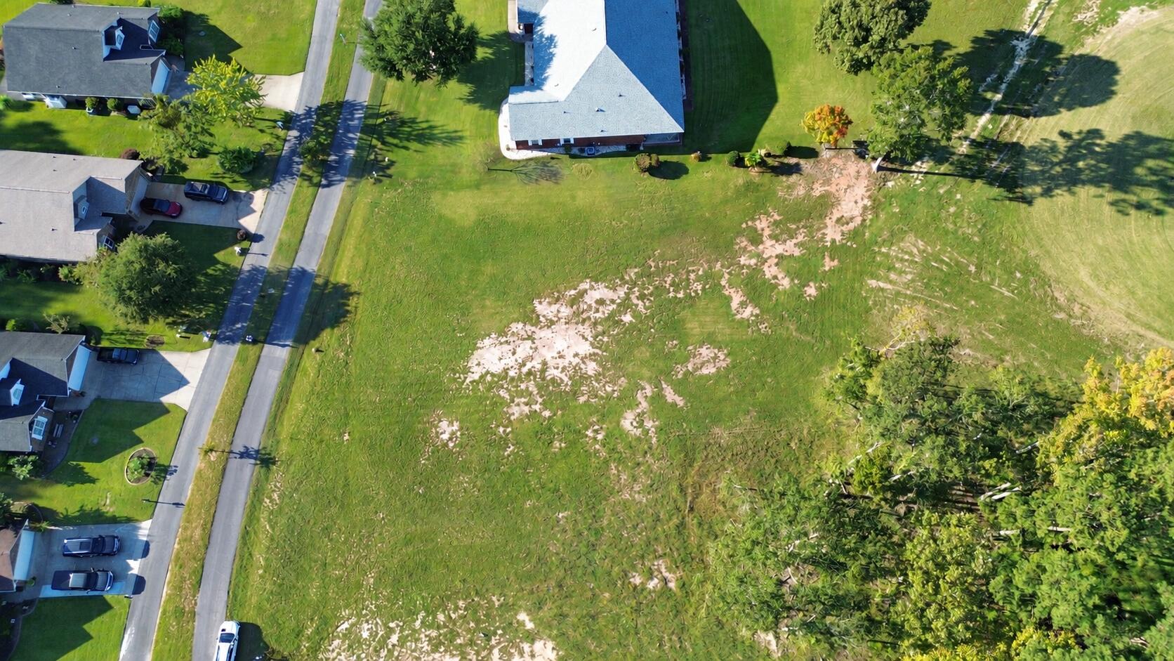 92 Ridge Lake Drive Manning, SC 29102 - Photo 3 of 30 AERIAL
