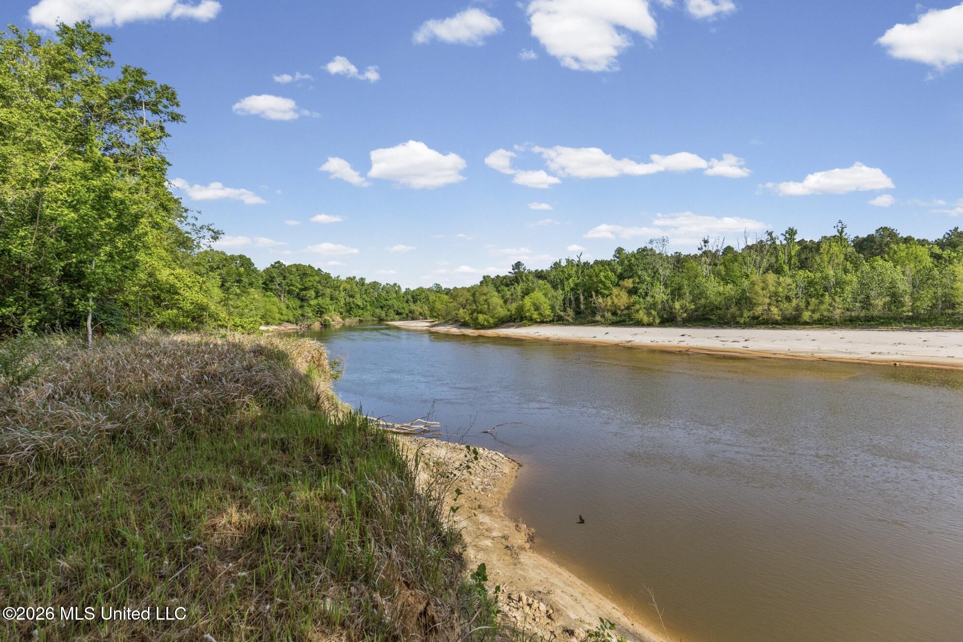 143 Ralph's Drive Leakesville, MS 39451 - Photo 5 of 43 Chickasawhay River