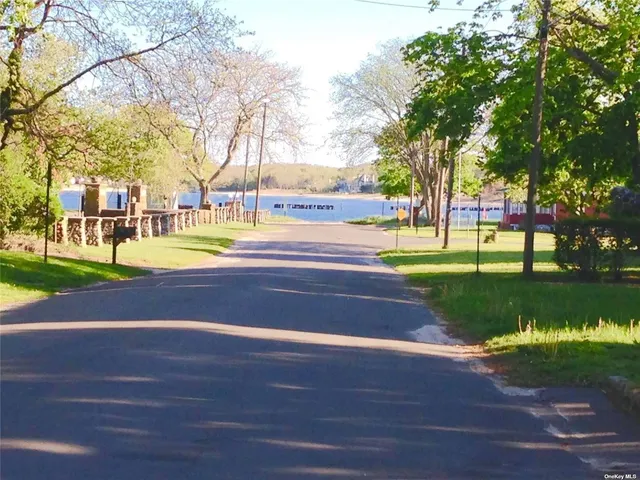 a park view with large trees and plants