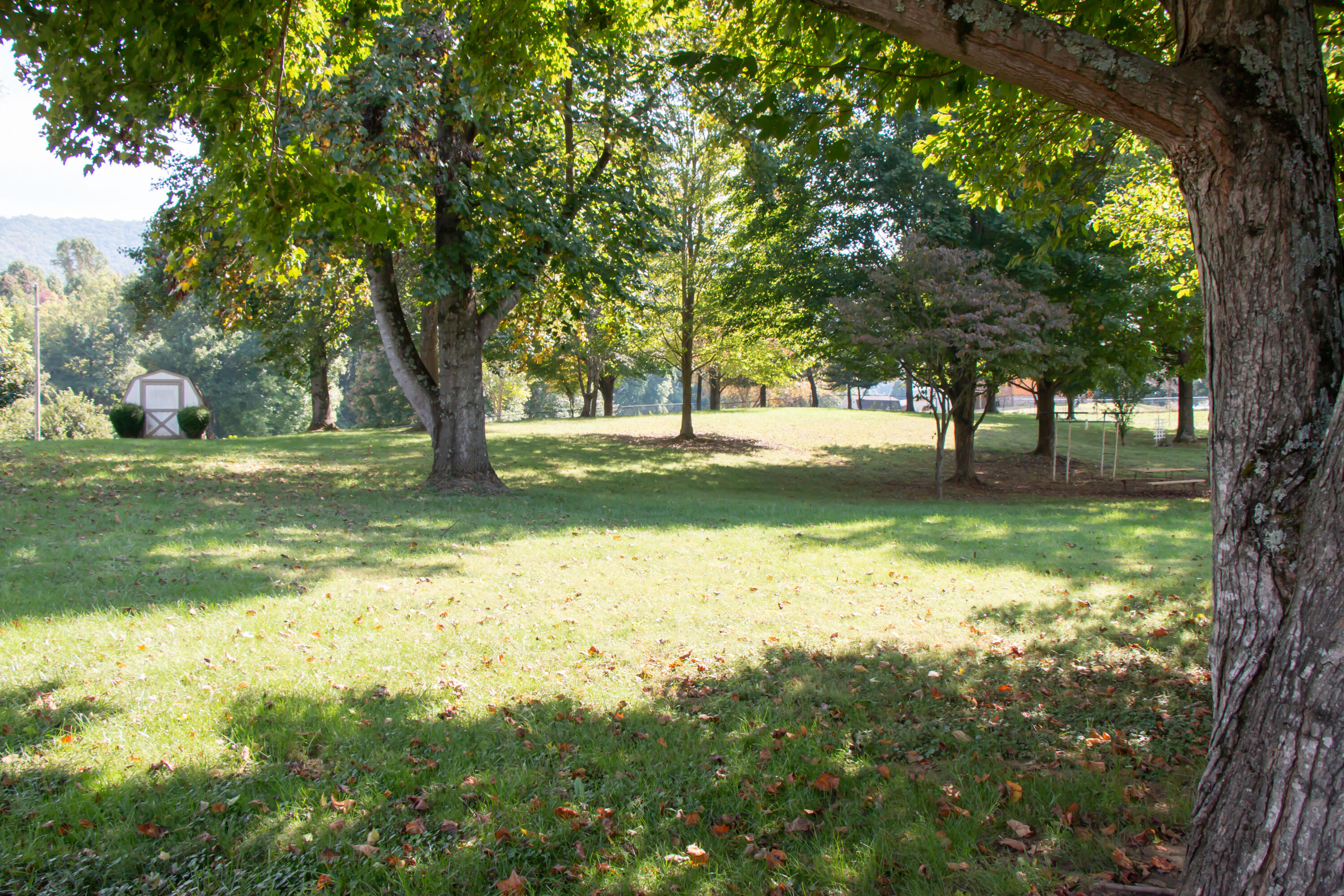 335 Bill Bennett Road Johnson City, TN 37604 - Photo 36 of 49 Bill Bennett-9