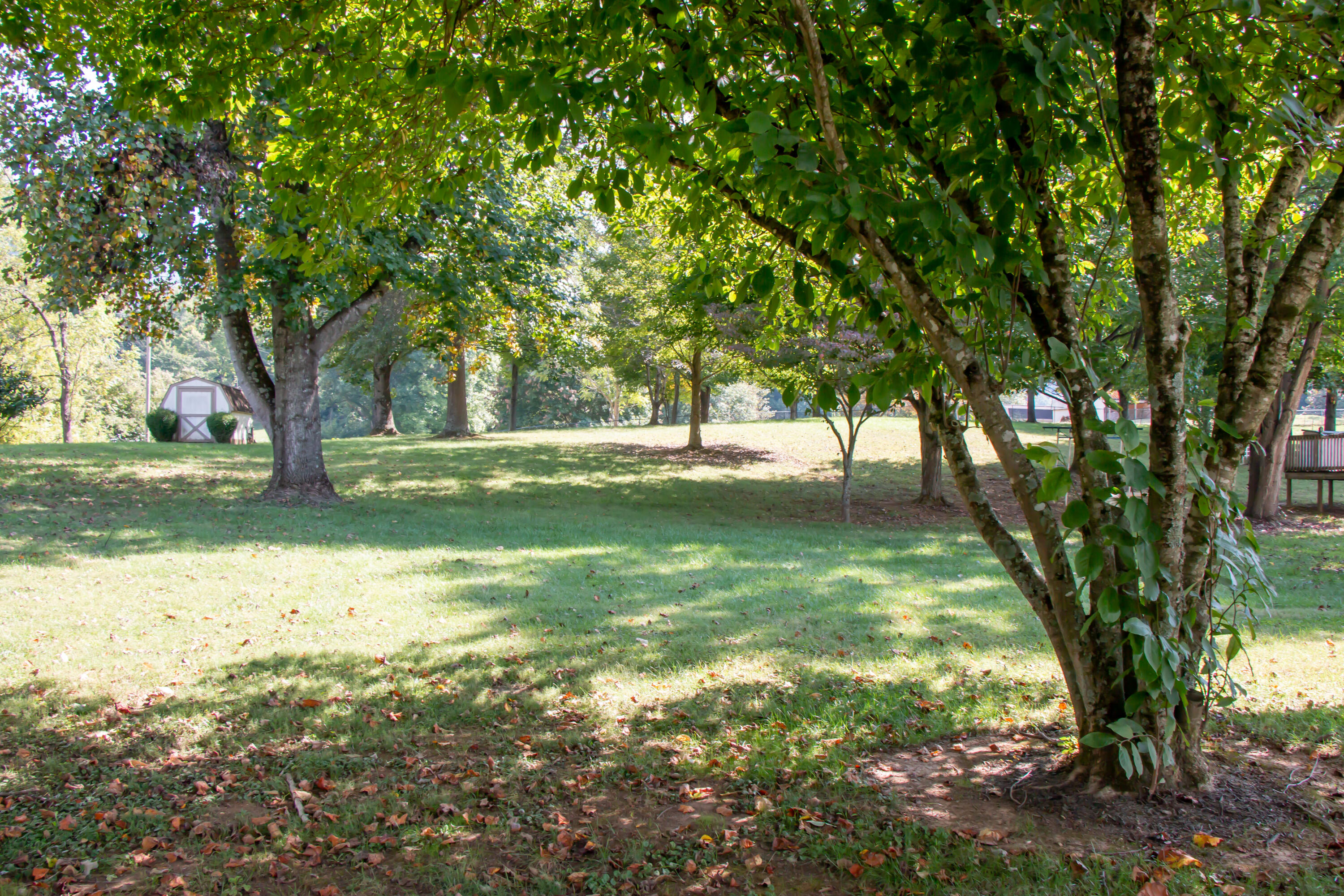 335 Bill Bennett Road Johnson City, TN 37604 - Photo 37 of 49 Bill Bennett-10