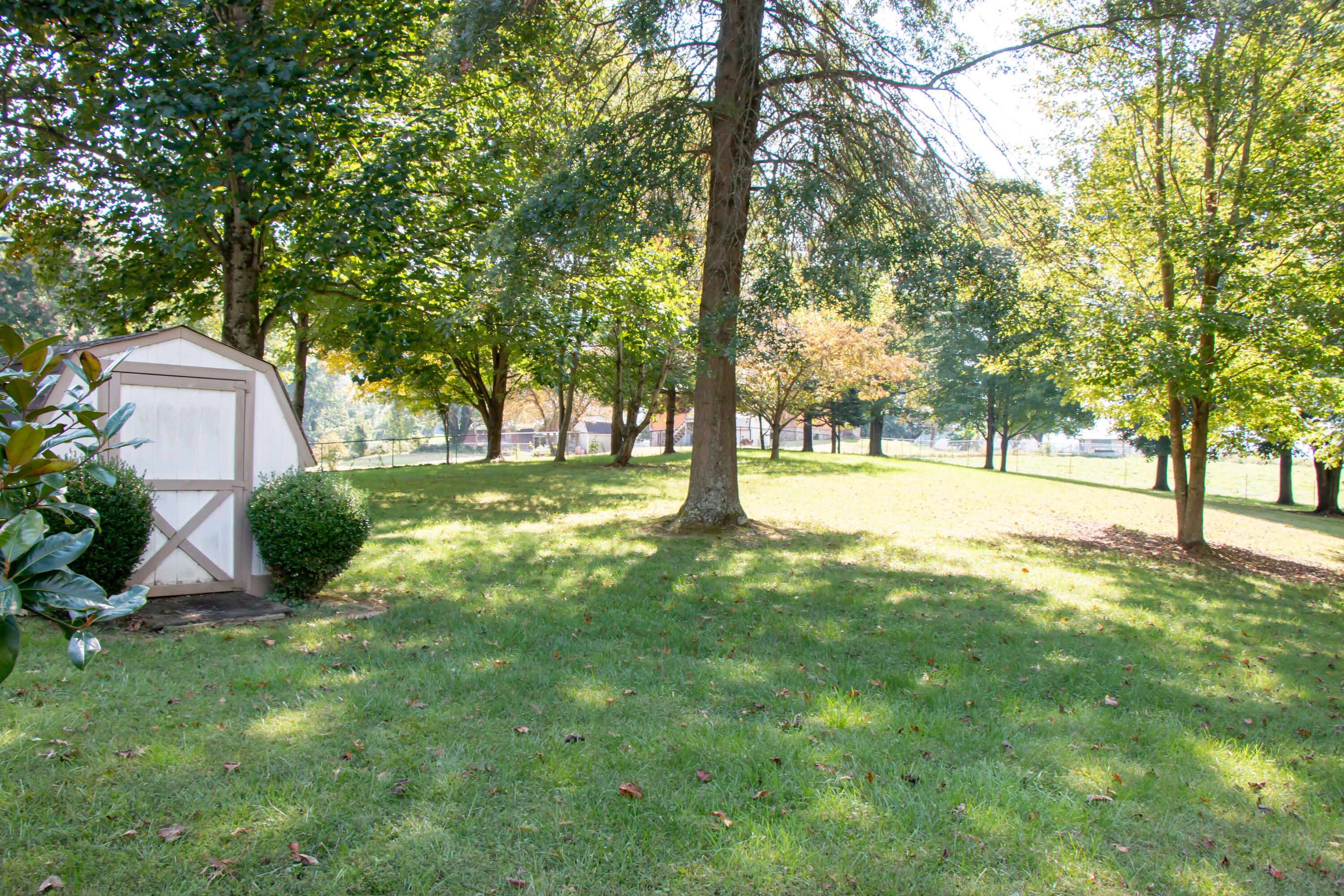 335 Bill Bennett Road Johnson City, TN 37604 - Photo 39 of 49 Bill Bennett-13