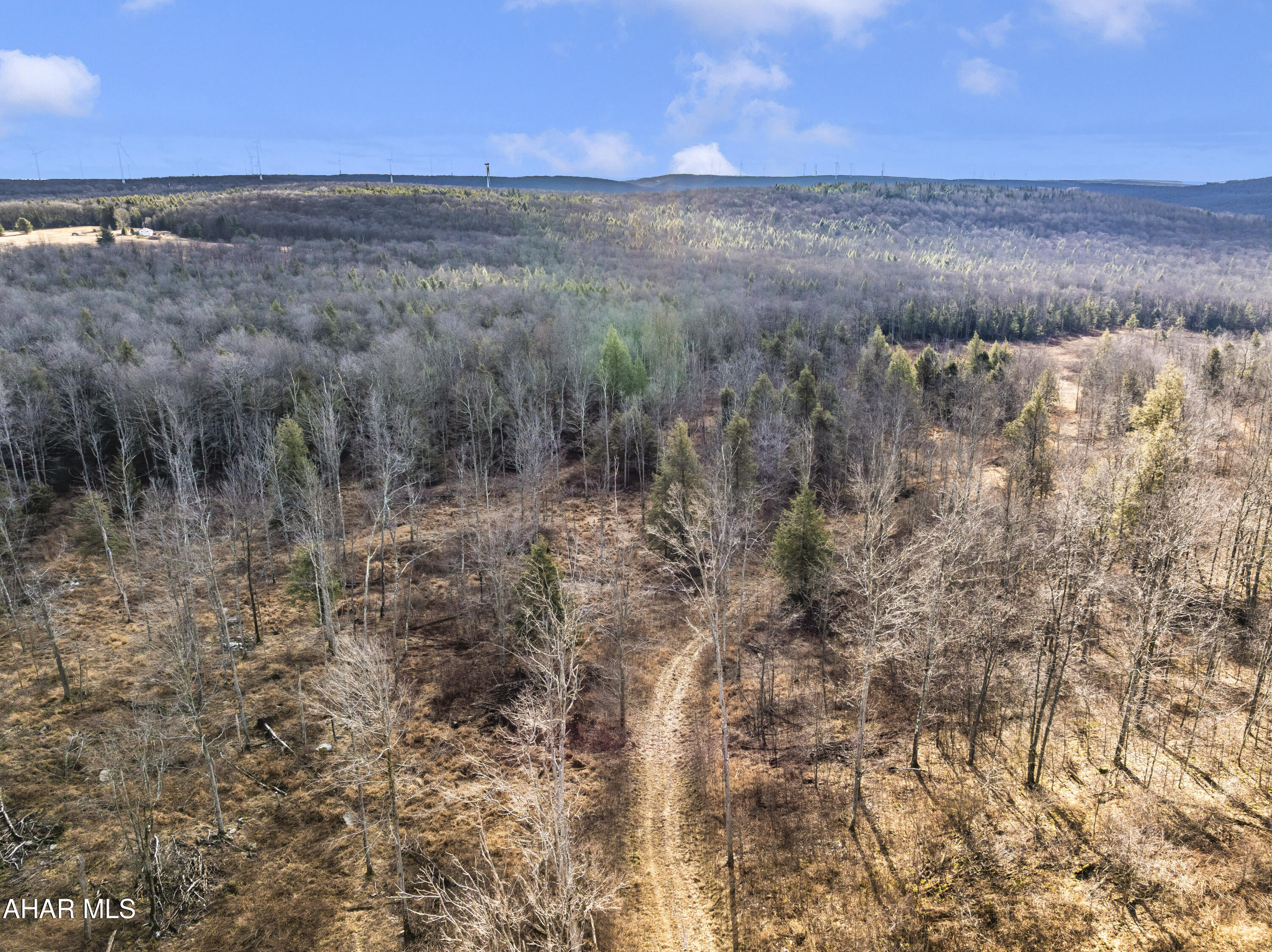 0 Lot 6 Mountain Road Road Lilly, PA 15938 - Photo 3 of 33