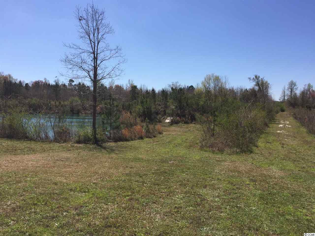 323 East Bay Road Gresham, SC 29546 - Photo 13 of 19 Gallery Image 13