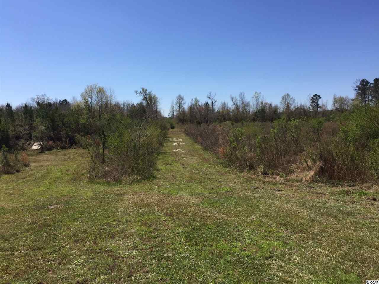 323 East Bay Road Gresham, SC 29546 - Photo 14 of 19 Gallery Image 14