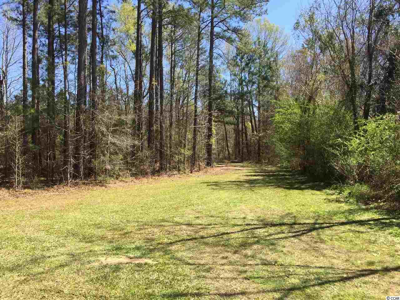 323 East Bay Road Gresham, SC 29546 - Photo 15 of 19 Gallery Image 15