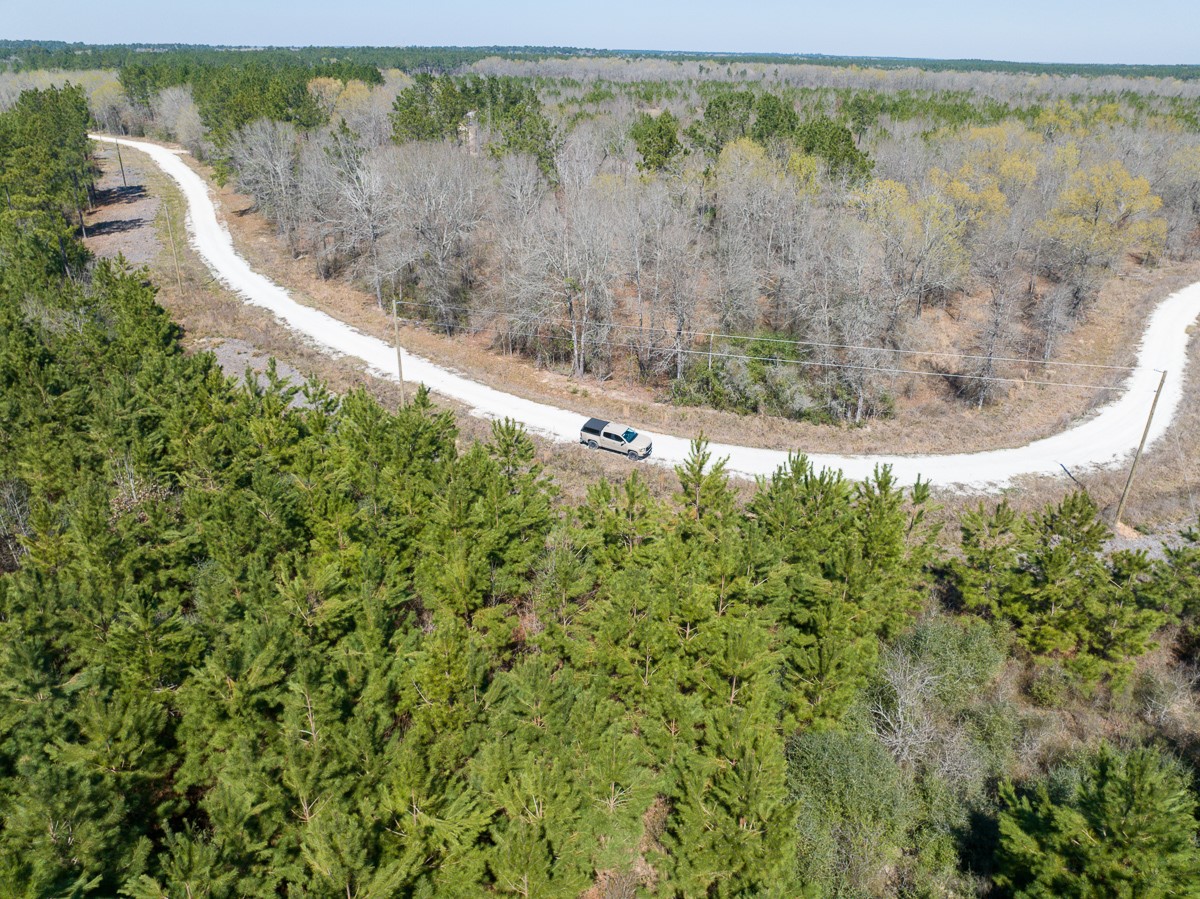 1 Brown Road Lovelady, TX 75851 - Photo 19 of 20 a view of a forest with a street