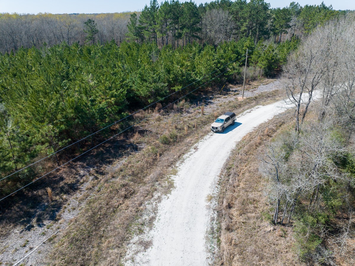 1 Brown Road Lovelady, TX 75851 - Photo 20 of 20 a view of a backyard with green space