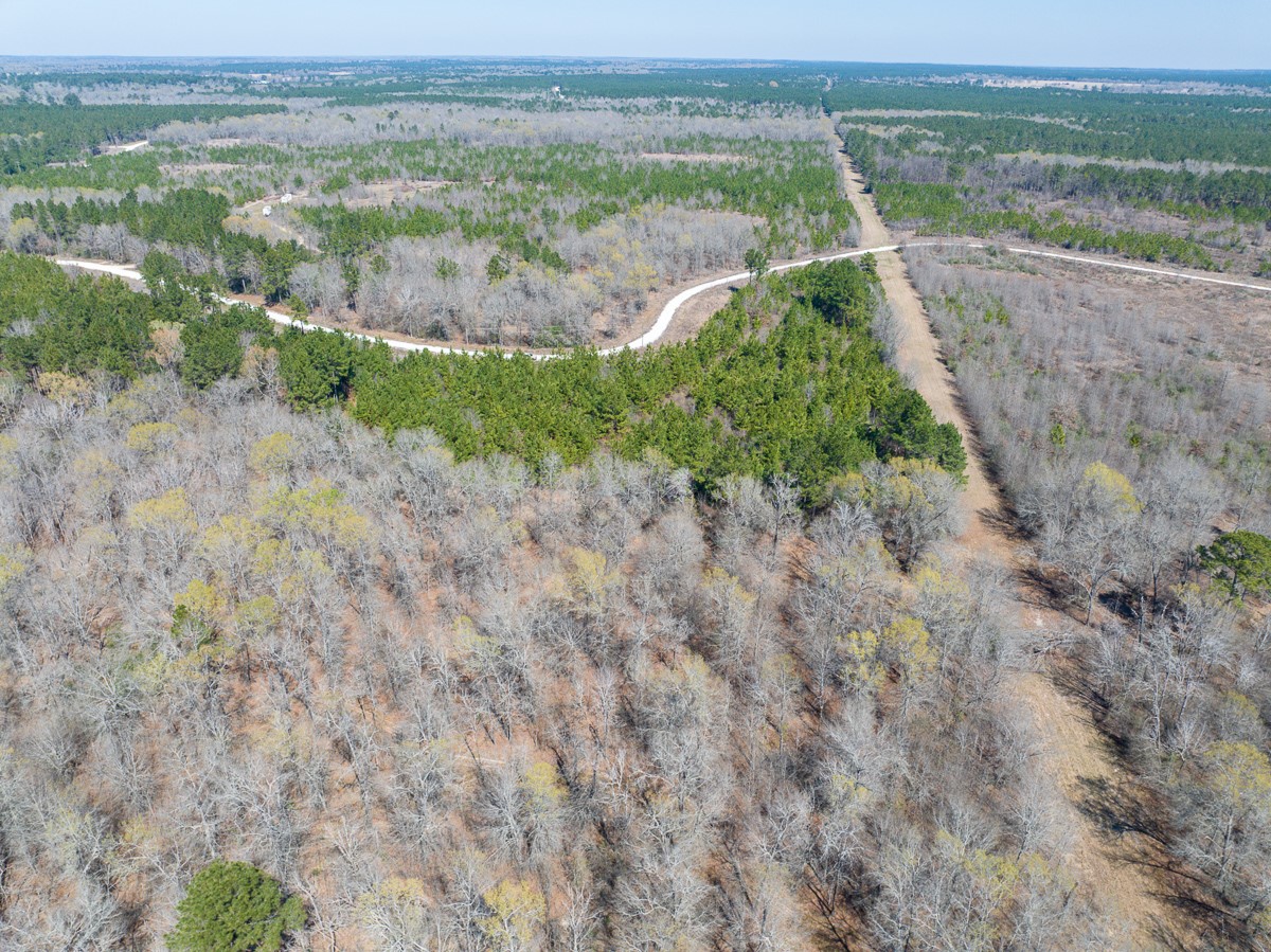 1 Brown Road Lovelady, TX 75851 - Photo 2 of 20 a view of an outdoor space with a lake view