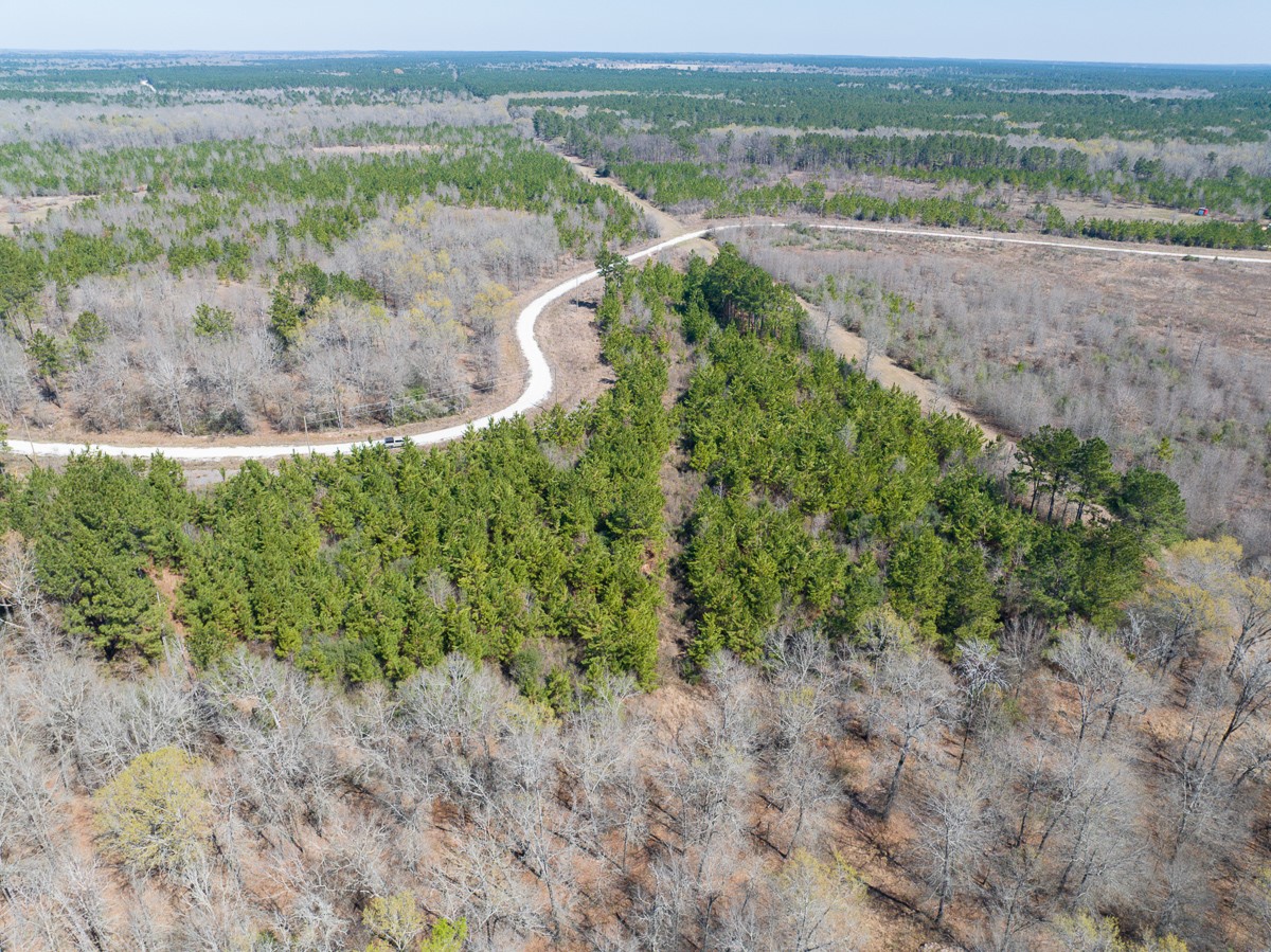 1 Brown Road Lovelady, TX 75851 - Photo 3 of 20