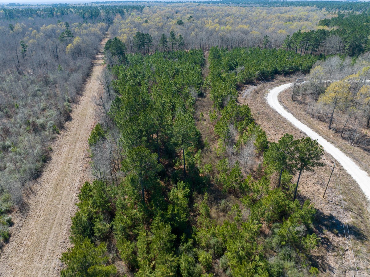 1 Brown Road Lovelady, TX 75851 - Photo 5 of 20 an aerial view of a house with a yard