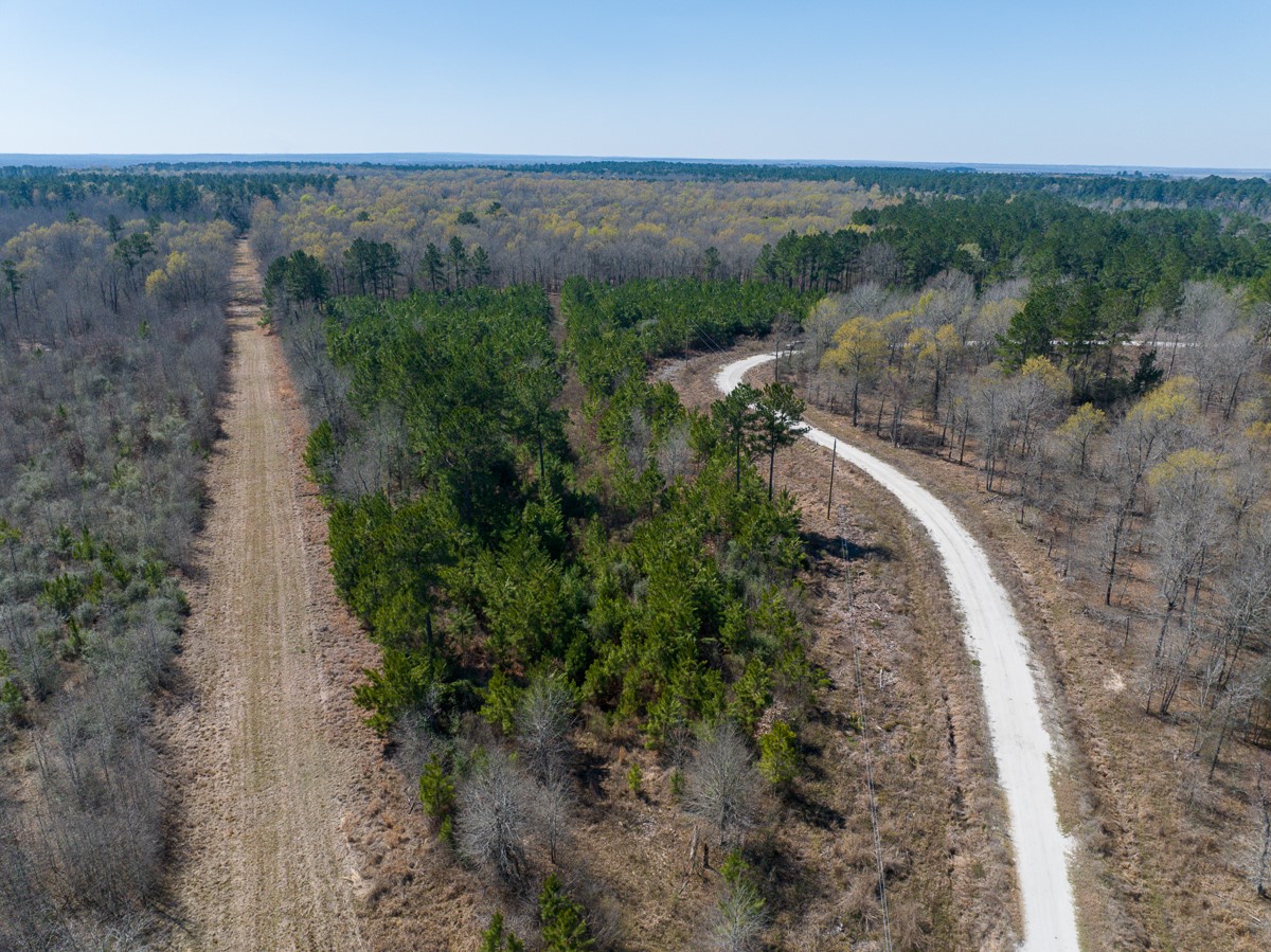 1 Brown Road Lovelady, TX 75851 - Photo 6 of 20 an aerial view of a house with a yard