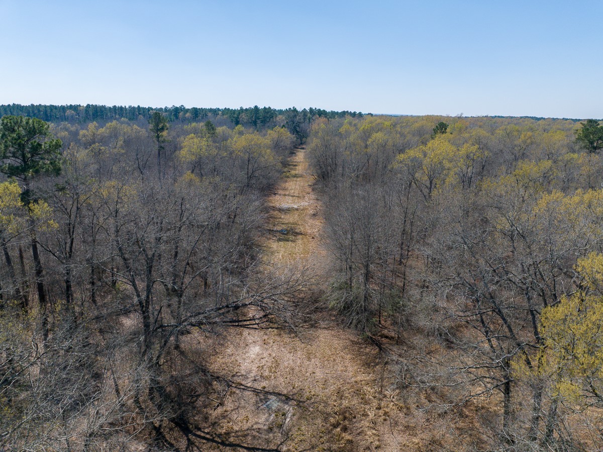 1 Brown Road Lovelady, TX 75851 - Photo 8 of 20 a view of a lake in a forest