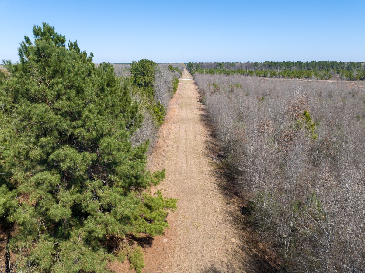 1 Brown Road Lovelady, TX 75851 - Photo 10 of 20 a view of a lake with a yard and mountain view