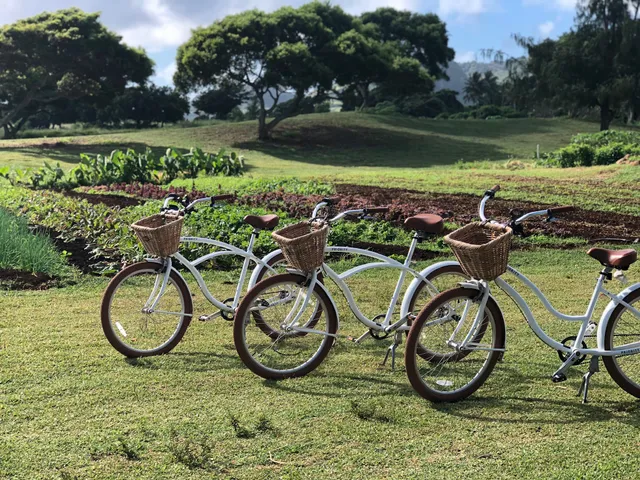 a couple of bicycles parked next to a yard