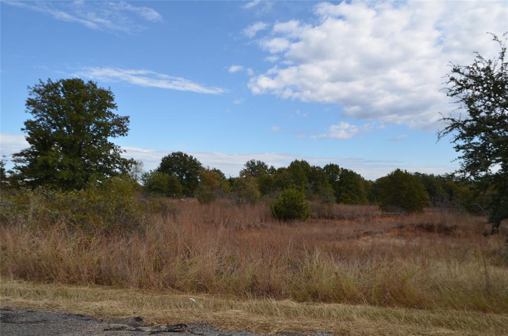 3470 Old Agnes Road Weatherford, TX 76088 - Photo 11 of 12 a view of a lake with mountain in the background