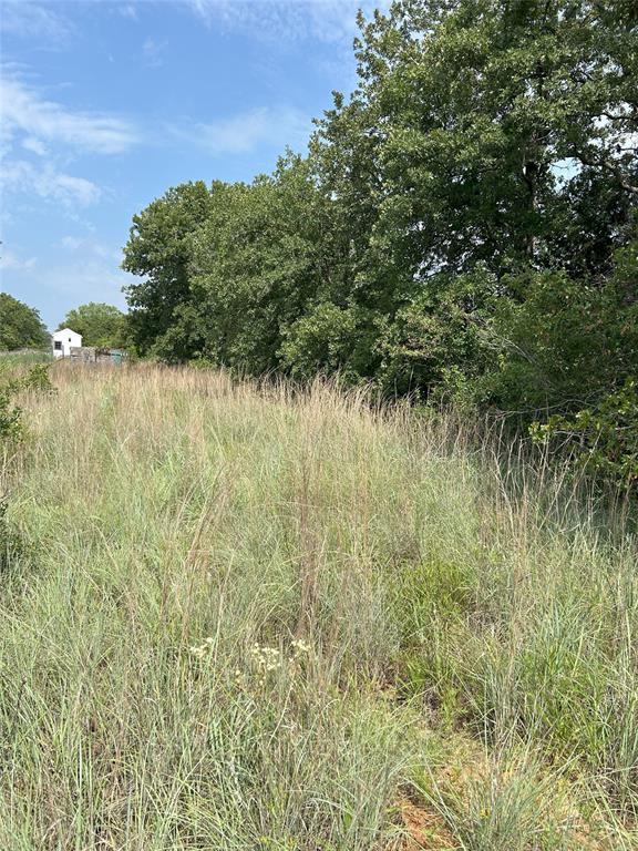 3470 Old Agnes Road Weatherford, TX 76088 - Photo 12 of 12 a view of a lake with a yard