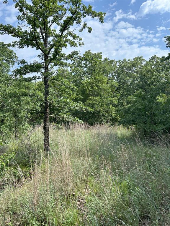 3470 Old Agnes Road Weatherford, TX 76088 - Photo 2 of 12 a view of a lake with a lush green forest