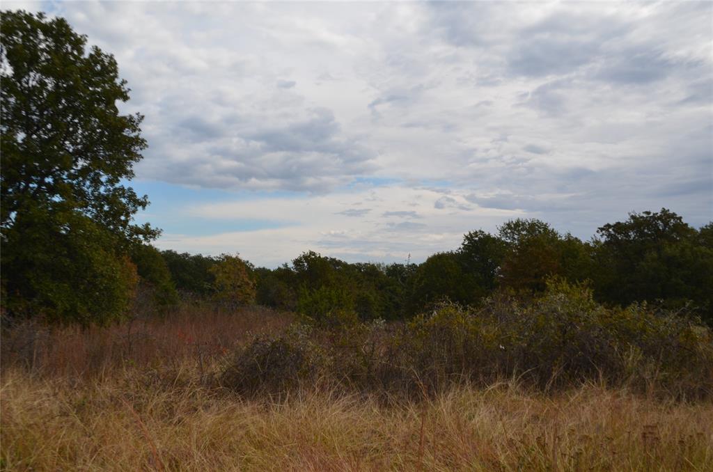 3470 Old Agnes Road Weatherford, TX 76088 - Photo 4 of 12 a view of lake with green space