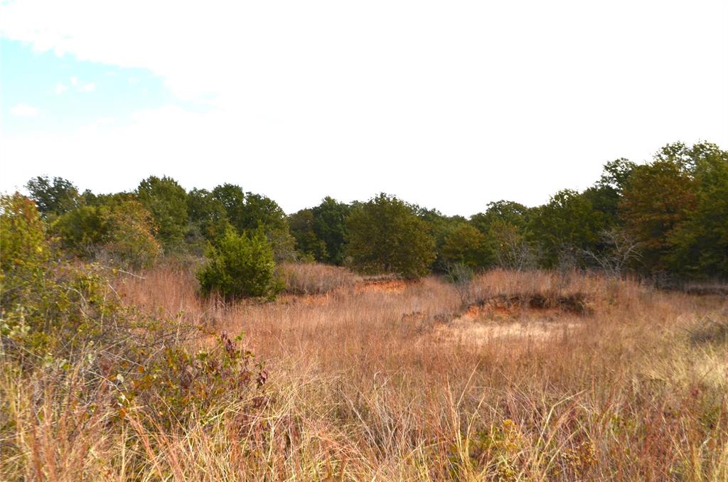 3470 Old Agnes Road Weatherford, TX 76088 - Photo 6 of 12 a view of a lake with mountain view