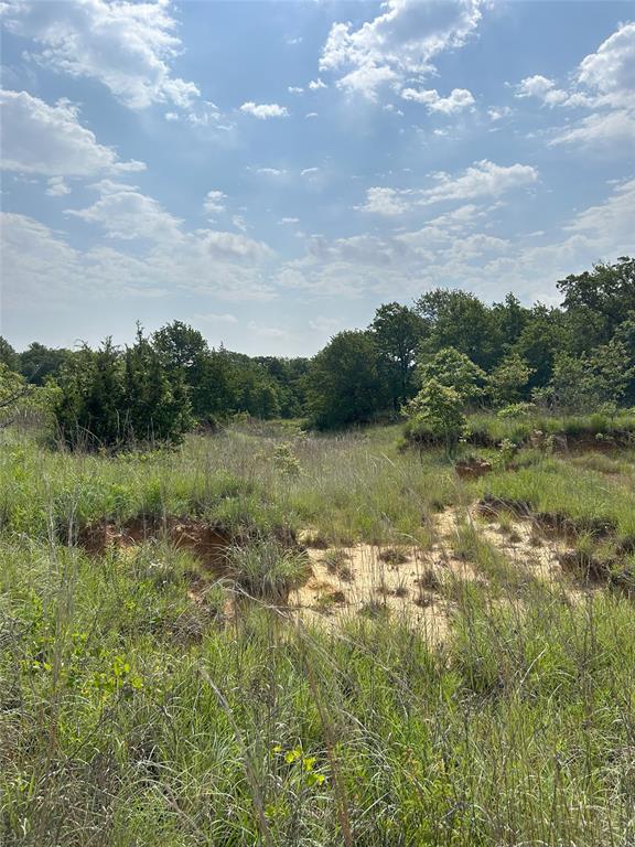 3470 Old Agnes Road Weatherford, TX 76088 - Photo 8 of 12 a view of a lake with houses in the back