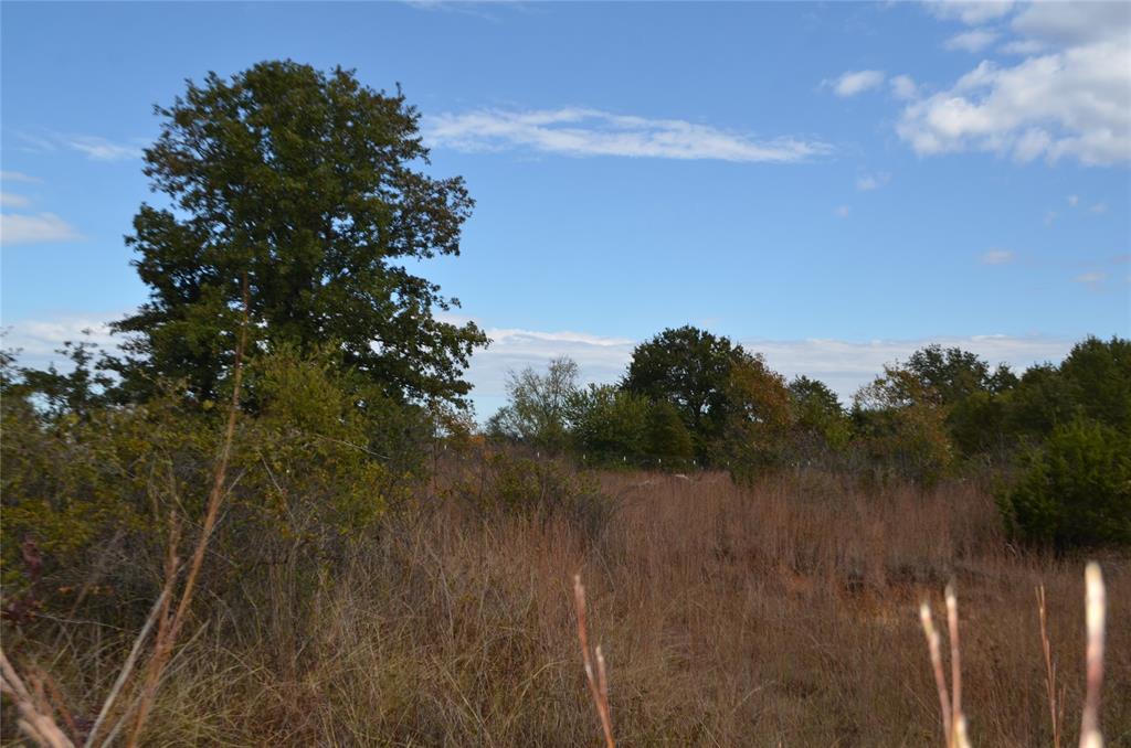 3470 Old Agnes Road Weatherford, TX 76088 - Photo 10 of 12 a view of lake with green space