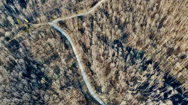 $72,990 | Lot#10 Mill Creek Road, Sunbright, TN 37872