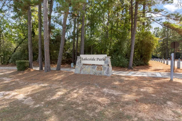 a view of a forest with trees in the background