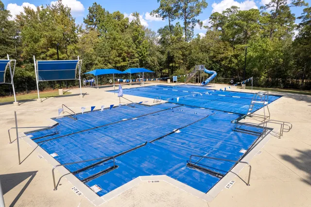 a view of a tree with a yard