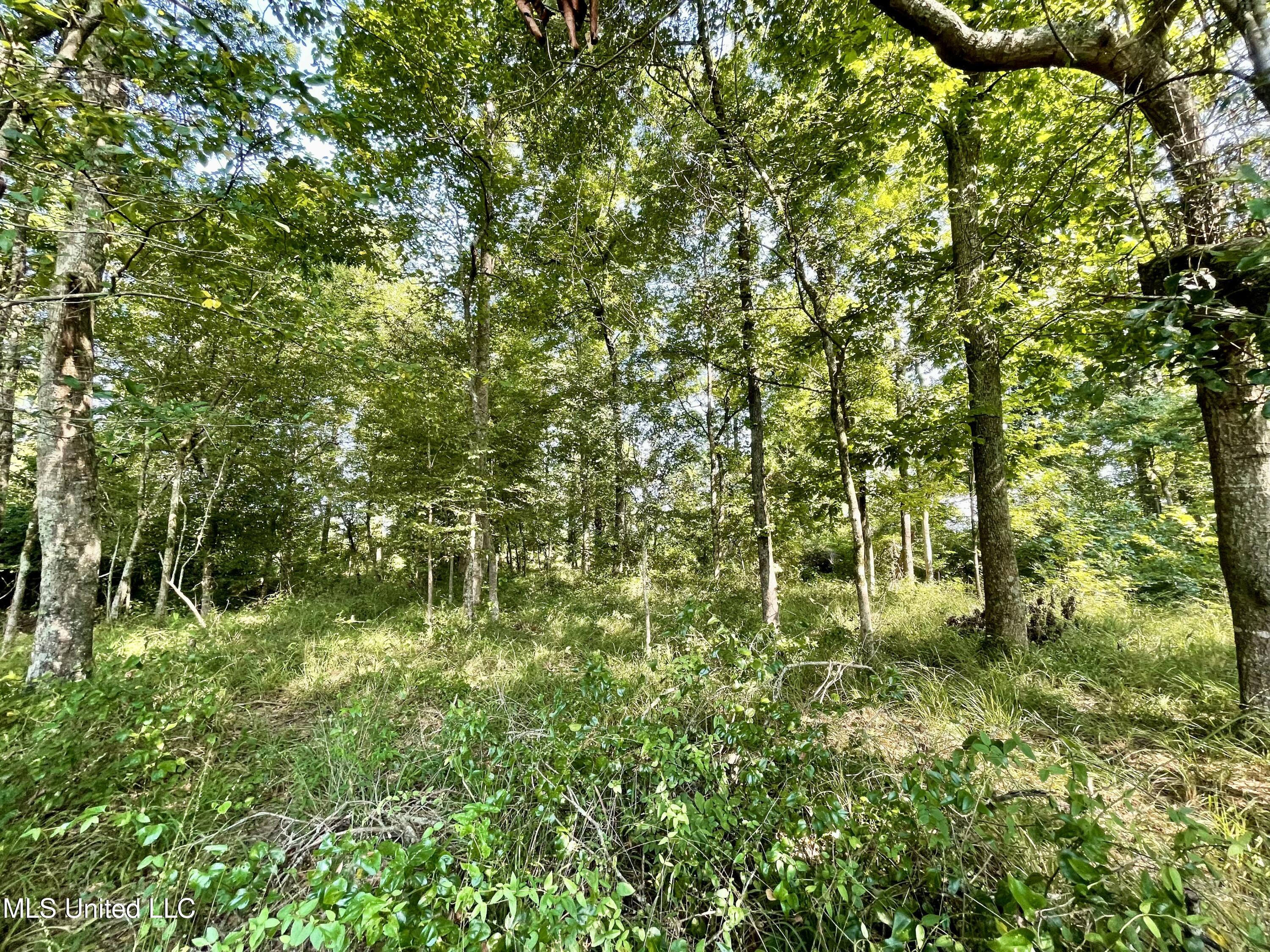 0 Crisco Road Florence, MS 39073 - Photo 11 of 14 11