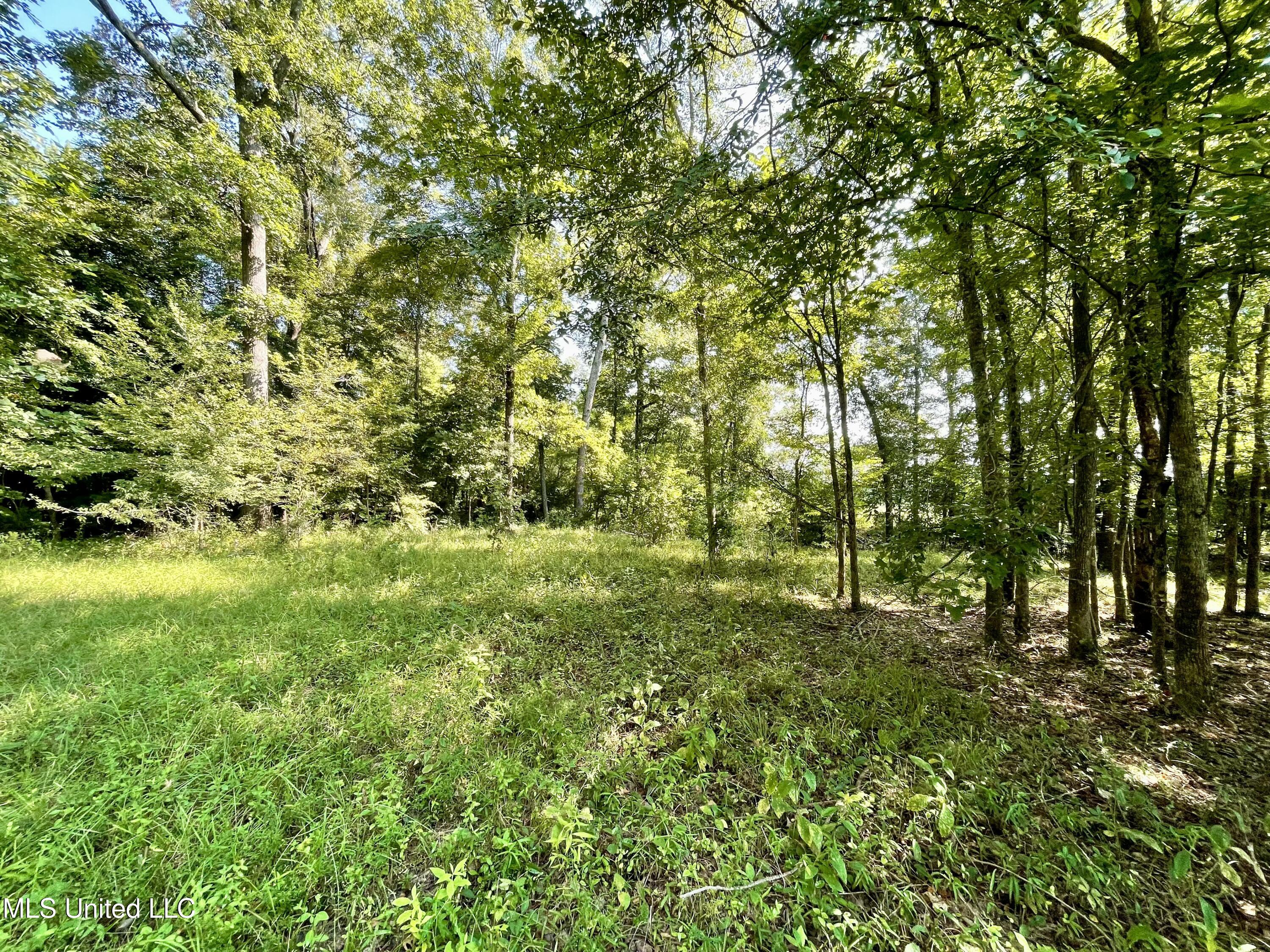 0 Crisco Road Florence, MS 39073 - Photo 12 of 14 12