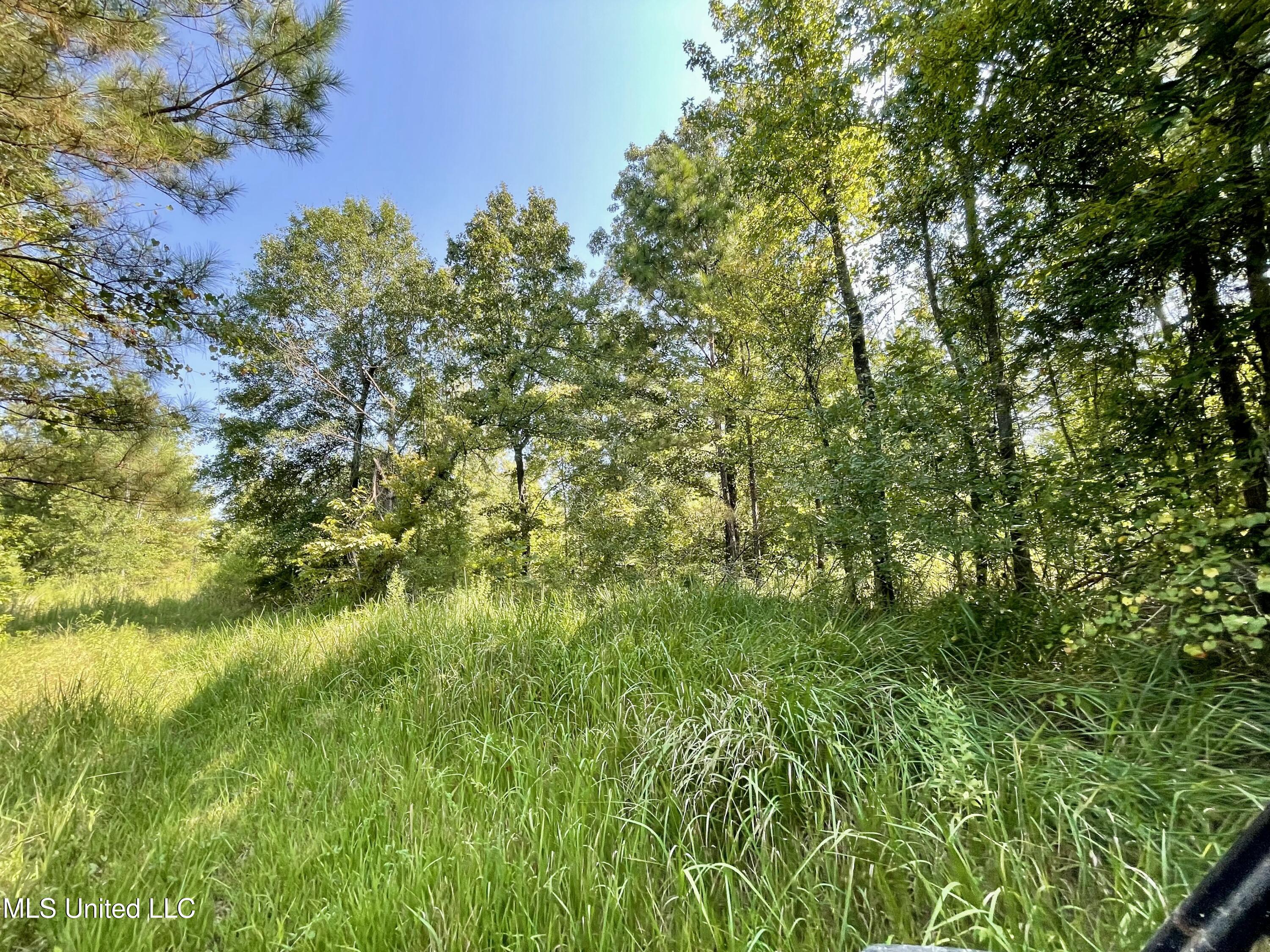 0 Crisco Road Florence, MS 39073 - Photo 13 of 14 13