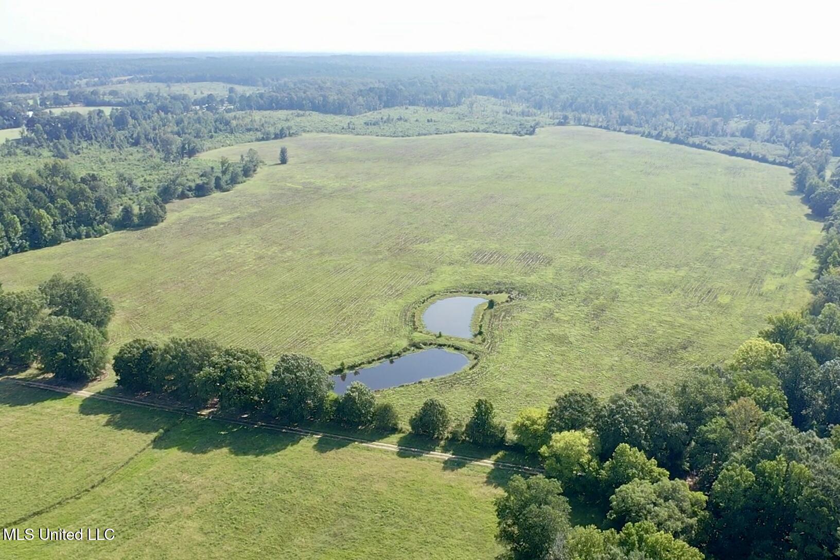 0 Crisco Road Florence, MS 39073 - Photo 2 of 14 2
