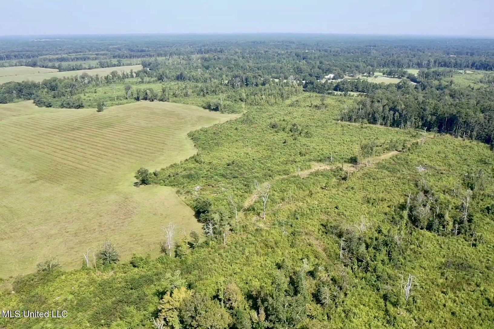 0 Crisco Road Florence, MS 39073 - Photo 3 of 14 3